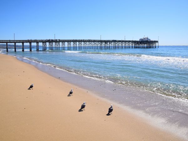 Newport Beach Home 1027553