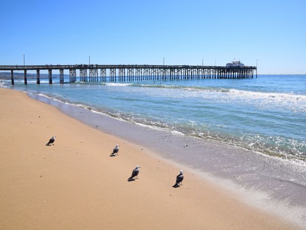 Newport Beach Home 1027555