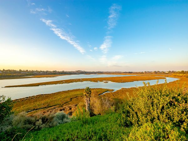 Newport Beach Home 1027566