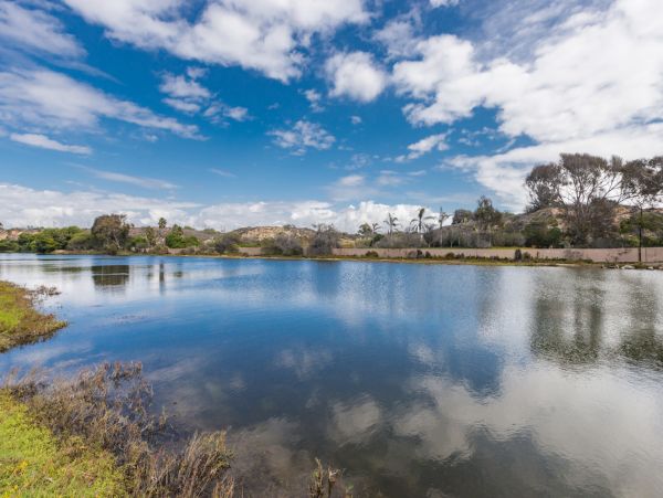 Newport Beach Home 1027582