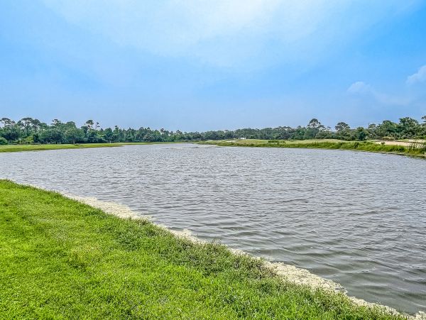 Perdido Key Condo 1027796