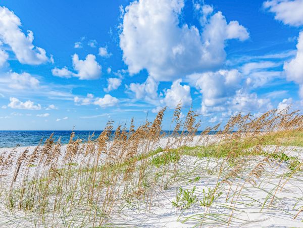 Perdido Key Home 1027814