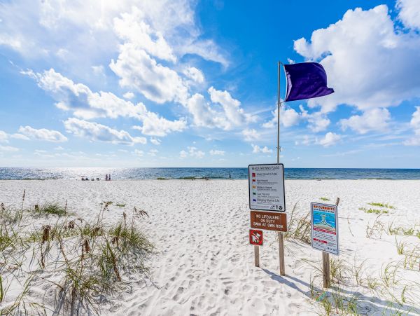 Perdido Key Condo 1027817