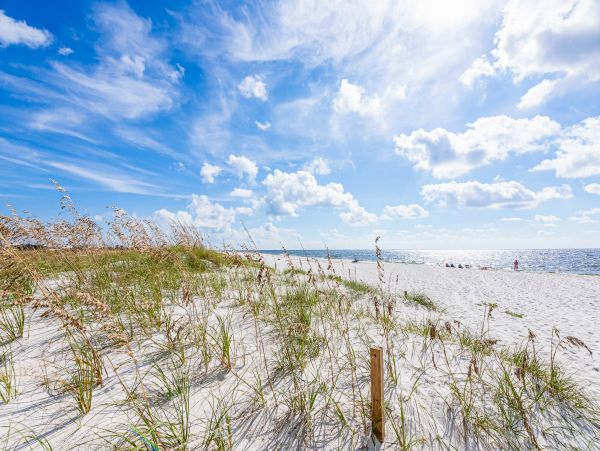 Perdido Key Home 1027830