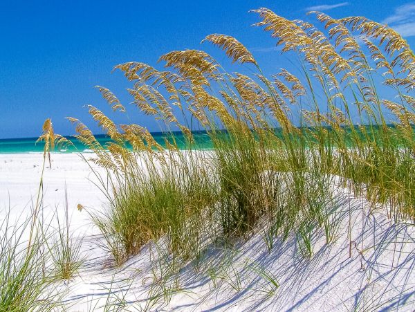 Perdido Key Home 1027836
