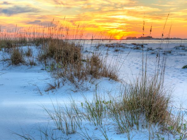 Perdido Key Home 1027836