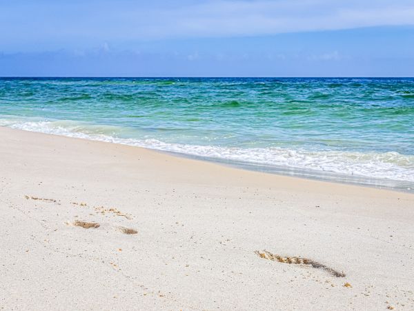Perdido Key Home 1027850