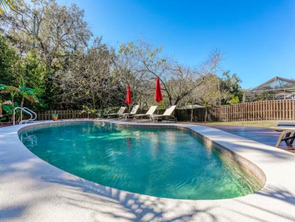 Dog-friendly Vacation Pool Home in Palm Harbor