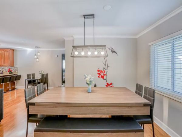 Dog-friendly Vacation Pool Home in Palm Harbor