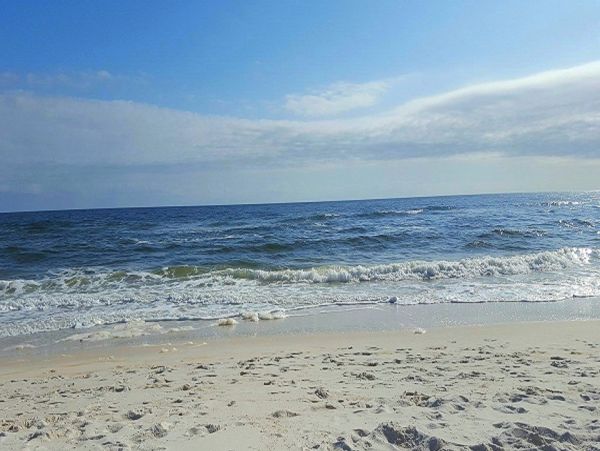 Perdido Key Home 1027889