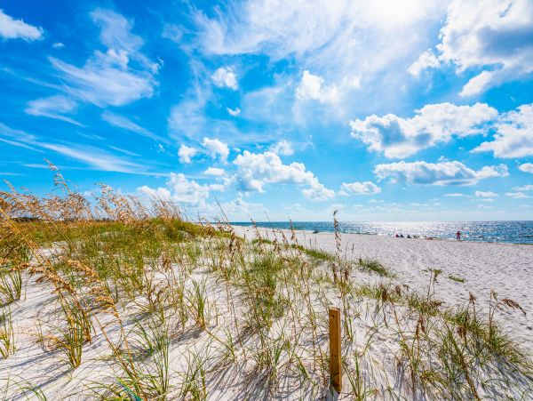 Perdido Key Home 1027892