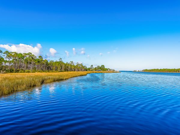 Perdido Key Home 1027892