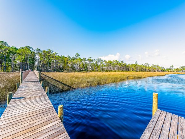 Perdido Key Home 1027892