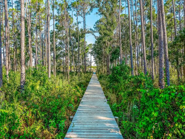 Perdido Key Home 1027892