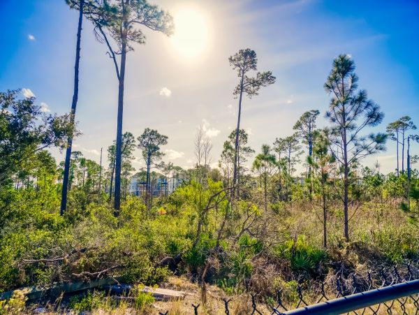 Perdido Key Home 1027897