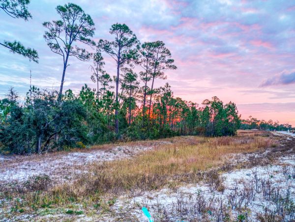 Perdido Key Home 1027897