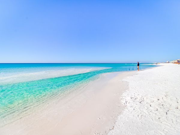 Perdido Key Condo 1027902