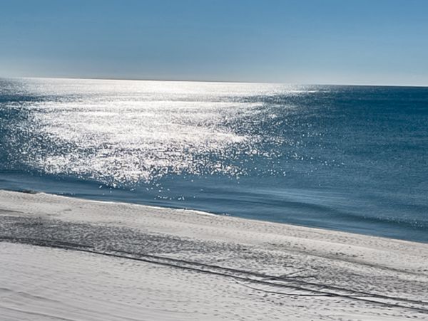 Perdido Key Condo 1027905