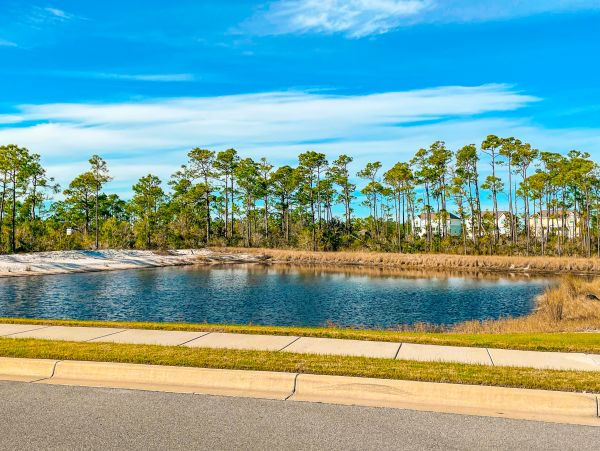 Perdido Key Home 1027906