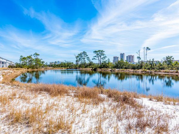Perdido Key Home 1027909
