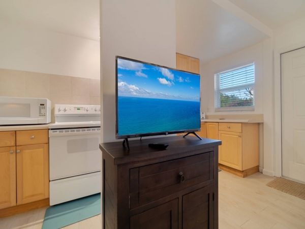 Pompano Beach Condo 1027912
