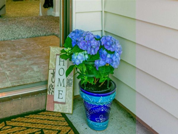Ponte Vedra Beach Home 1027915
