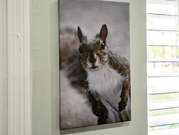 Ponte Vedra Beach Condo 1027919