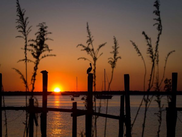 Ponte Vedra Beach Condo 1027920