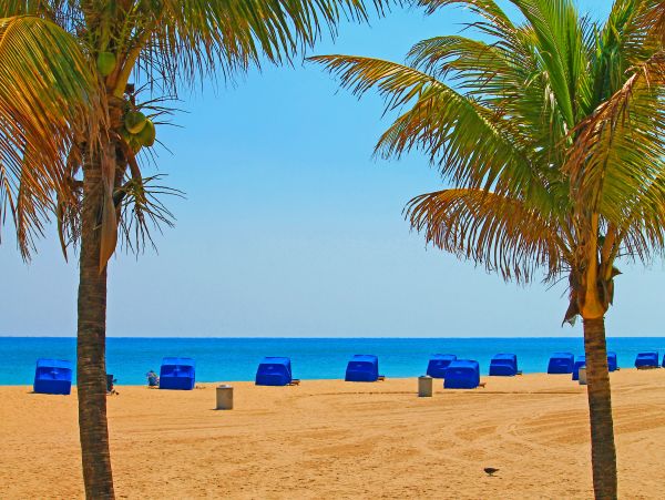 Pompano Beach Condo 1027943