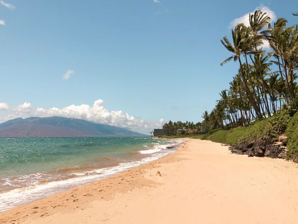 Vacation Condo Steps to Beach in Kihei Two Bedroom