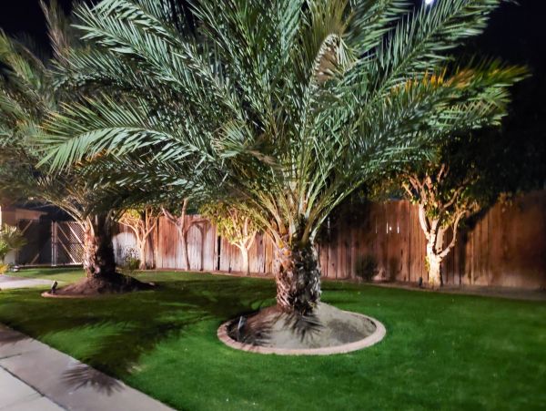 Palm Desert Home 1027980
