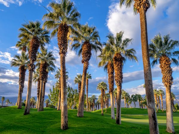Palm Desert Home 1027995