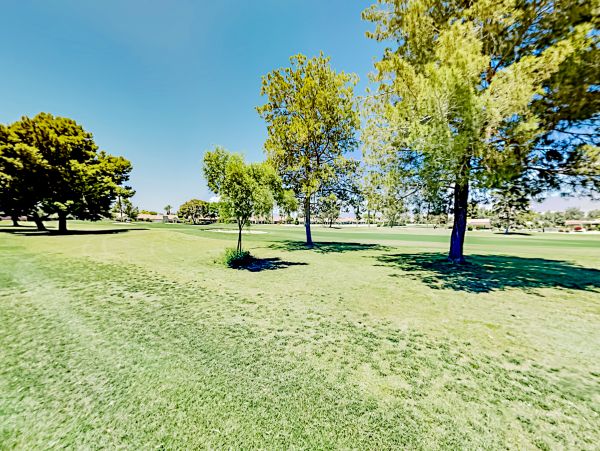 Palm Desert Home 1028004