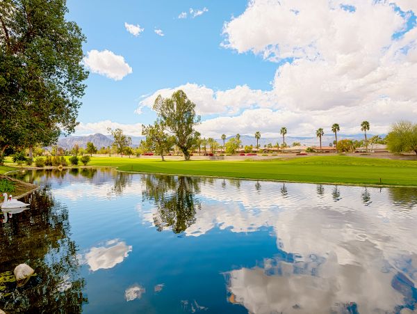 Palm Desert Home 1028004