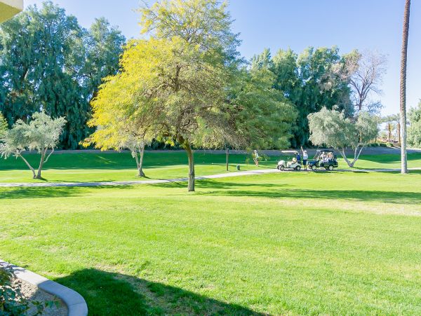 Palm Desert Home 1028005