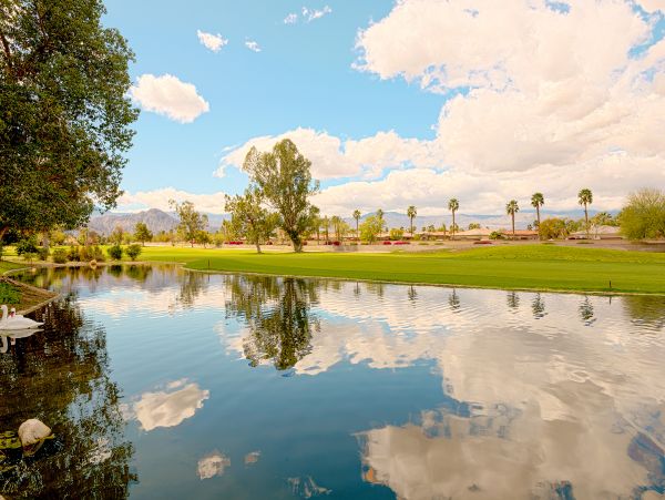 Palm Desert Home 1028007