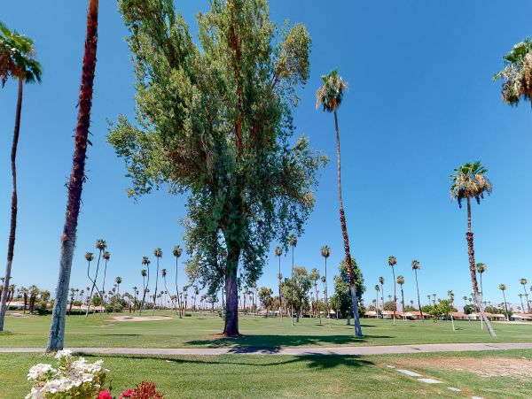 Palm Desert Home 1028012