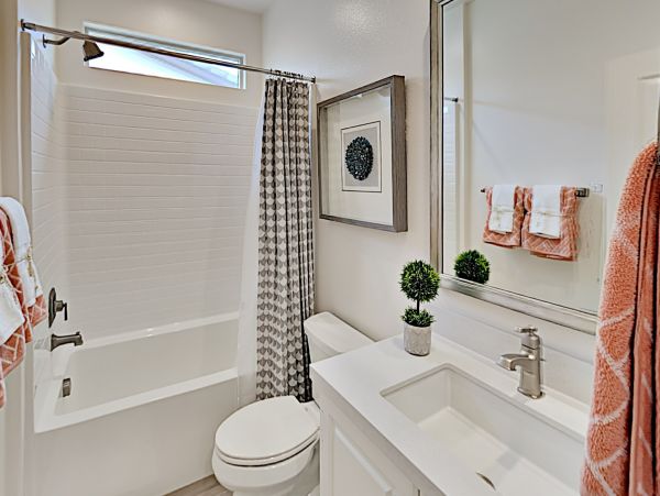 Palm Desert Home 1028018