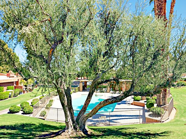 Palm Desert Home 1028026