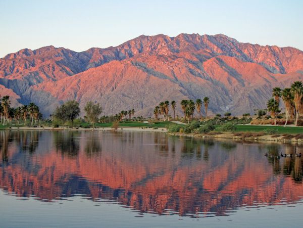 Palm Desert Home 1028026