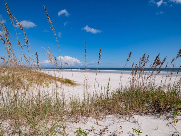 4 Bedroom Coastal Retreat Awaits in St. Augustine