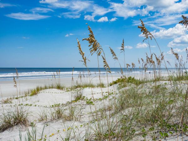 St. Augustine Condo 1028071