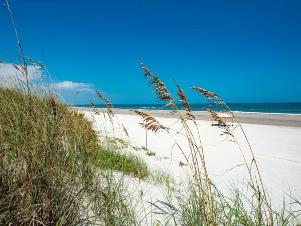 St. Augustine Condo 1028073
