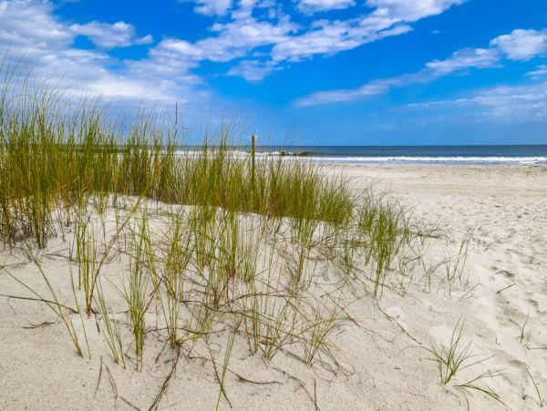 St. Augustine Condo 1028076