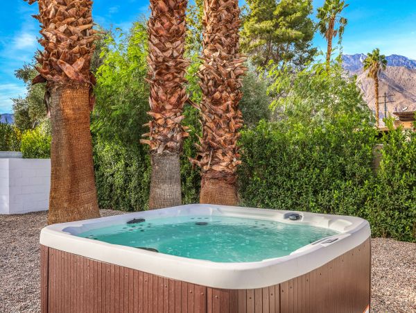 Palm Springs Home 1028215