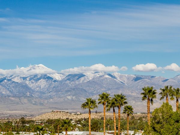 Palm Springs Home 1028235