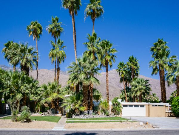 Palm Springs Home 1028255