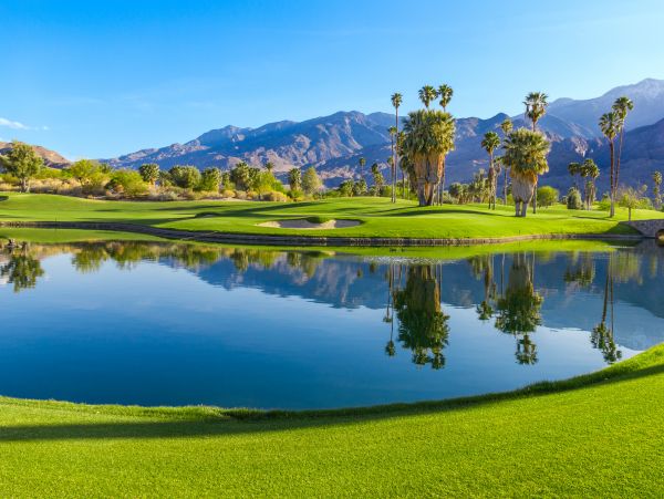 Palm Springs Home 1028257