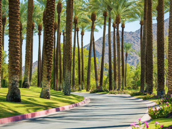Palm Springs Home 1028273