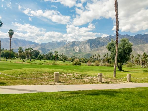 Palm Springs Home 1028277